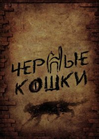 Постер Сериала Чёрные кошки (2013)