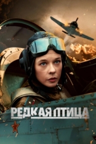 Постер Сериала Редкая птица (2024)