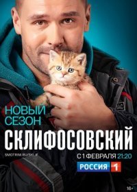 Постер Сериала Склифосовский 8 сезон (2021)