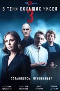 В тени больших чисел 3 (2025)