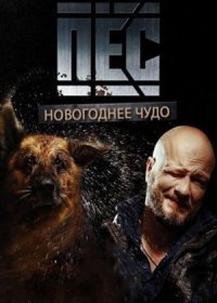 Постер Сериала Новогодний Пёс (2018)