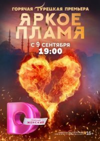 Постер Сериала Яркое пламя (2023)