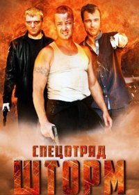 Постер Сериала Спецотряд Шторм (2013)