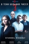В тени больших чисел 3 (2025)