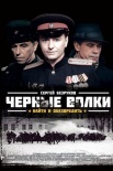 Постер Черные волки (2011)