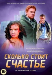 Постер cериала Сколько стоит счастье (2017)