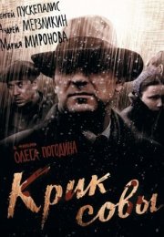 Постер cериала Крик совы (2013)