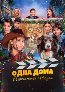 Одна дома великолепная пятерка (2024)