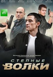 Постер cериала Степные волки (2016)