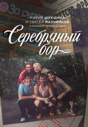 Постер cериала Серебряный бор (2017)