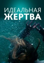 Постер cериала Идеальная җеҏҭва (2022)