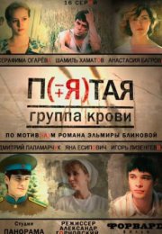 Постер cериала Пятая группа крови (2011)