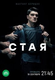 Постер cериала Стая (2022)