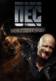 Постер cериала Новогодний Пёс (2018)