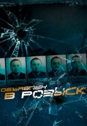 Постер cериала Объявлен в розыск (2011)