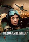 Постер Редкая птица (2024)